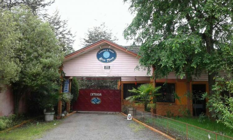 Fotografía 4 de Motel Blue Moon en Padre De Las Casas, Araucania